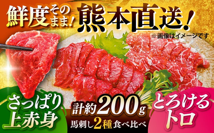 ばさし 熊本 赤身馬刺し 馬肉 霜降り馬刺し 馬肉 上赤身