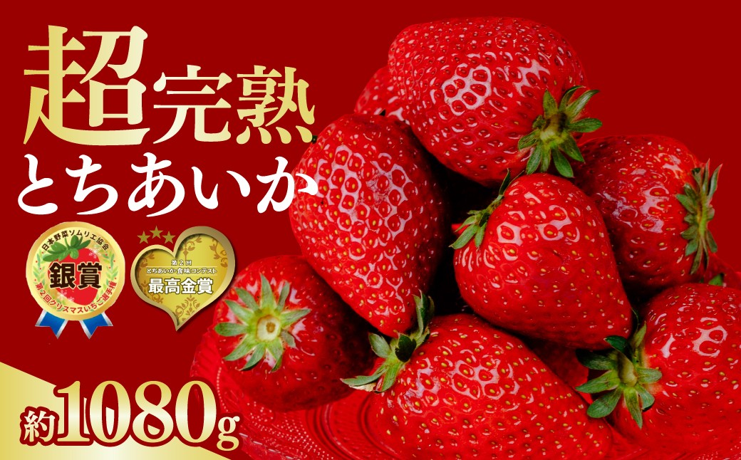 いちご イチゴ 苺 とちあいか 第2回いちご選手権金賞 ブランドいちご ストロベリー 完熟 甘い あまい 果物