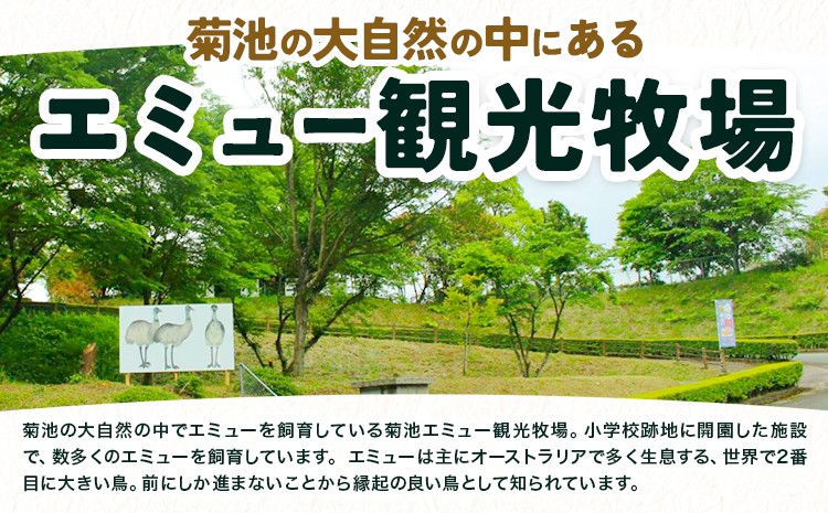 エミューの卵 350gから550g(1玉)