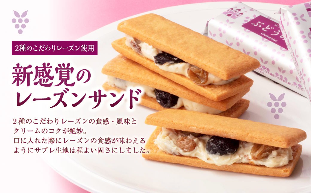 山梨県限定 レーズンサンド 10個×2セット