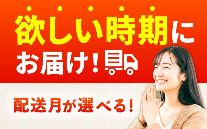 令和7年産 さがびより 30kg 5kg×6袋 佐賀県産 令和7年度産 米 おこめ お米 白米 こめ ライス rice kome