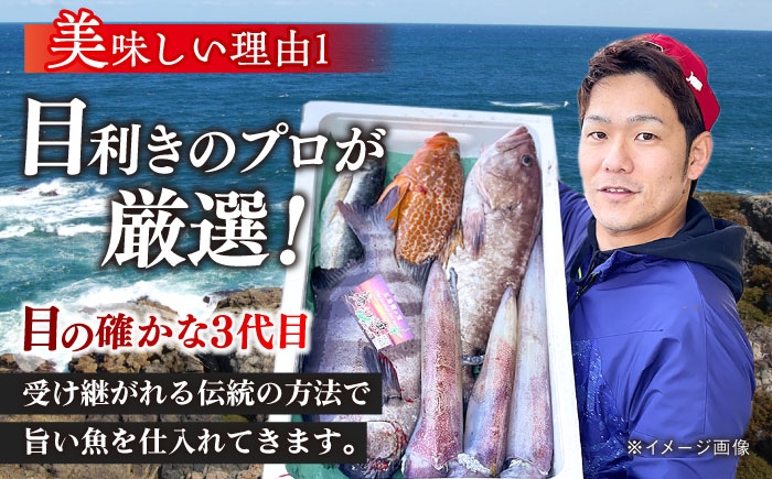 高級 鮮魚 セット 詰め合わせ 冷蔵 おまかせ お楽しみ 旬 刺身 九州 長崎