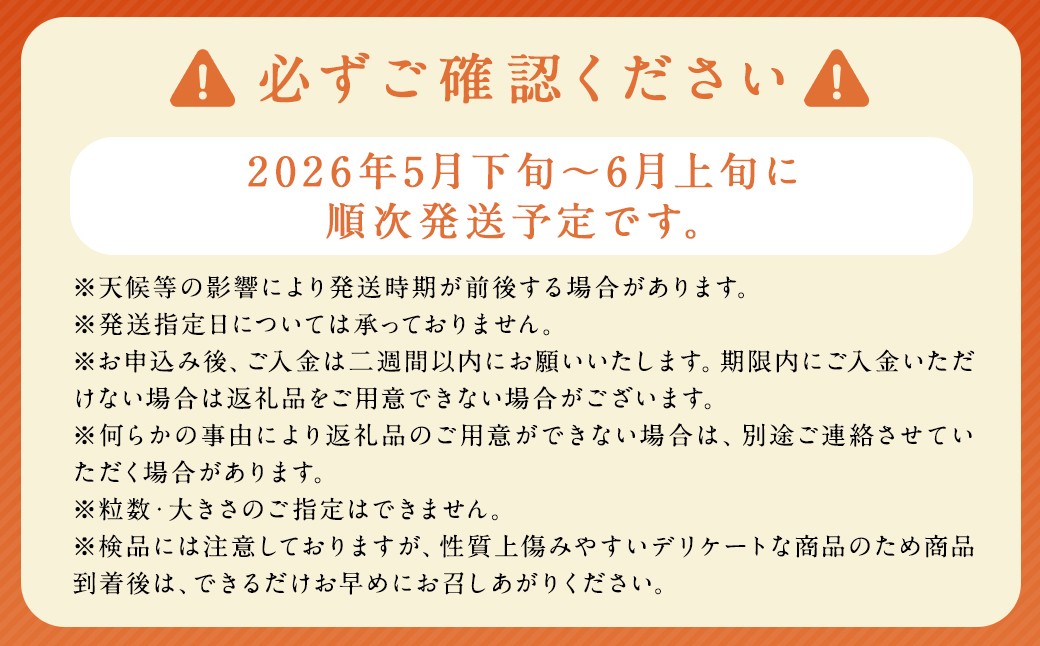 茂木 びわ『なつたより』2Lサイズ 15玉入り