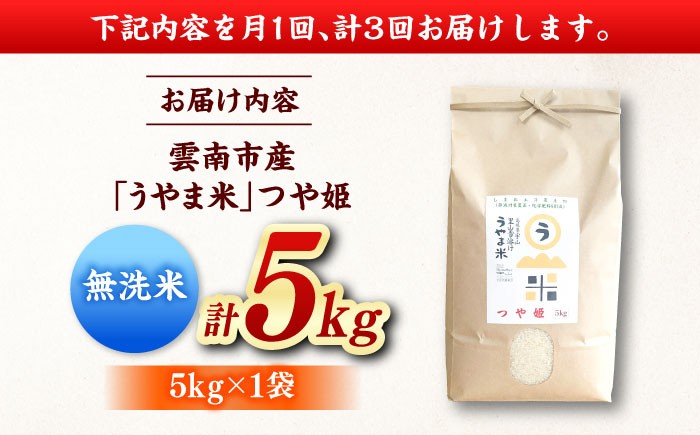 無洗米 コメ つや姫 白米 5キロ 定期便