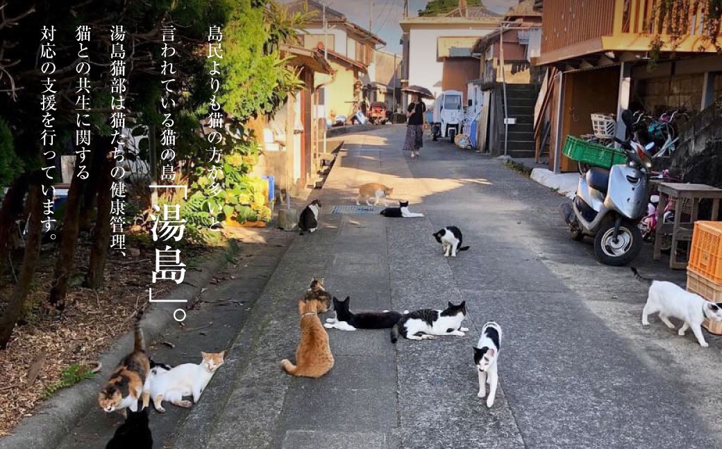 島ねこ日めくりカレンダーin湯島