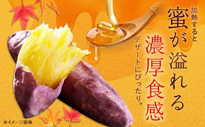  五島列島 さつまいも サツマイモ 薩摩芋 焼き芋 焼芋 食べ比べ おやつ 手軽 長崎県