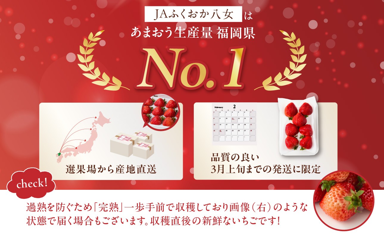 JAふくおか八女はあまおう生産量福岡県No.1