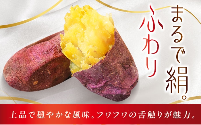 五島列島 さつまいも サツマイモ 薩摩芋 焼き芋 焼芋 食べ比べ 長崎県