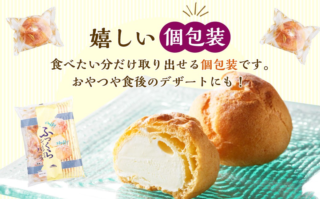 ふっくら シューアイス（バニラ）【個包装】18個入×2セット