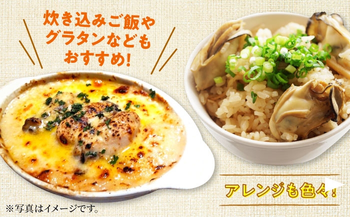 牡蠣 生食 むき身 殻付き かき カキ 生牡蠣 広島牡蠣 オイスター カキフライ 魚介類 貝類 海鮮 広島県産 国産 産地直送