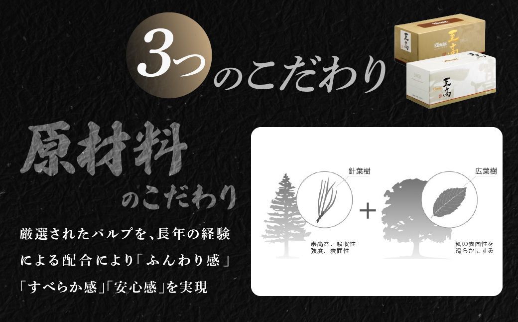 ティッシュペーパー スコッティ ティシュー ファン 150組5箱×12パック てぃっしゅぺーぱー ティッシュ てぃっしゅ