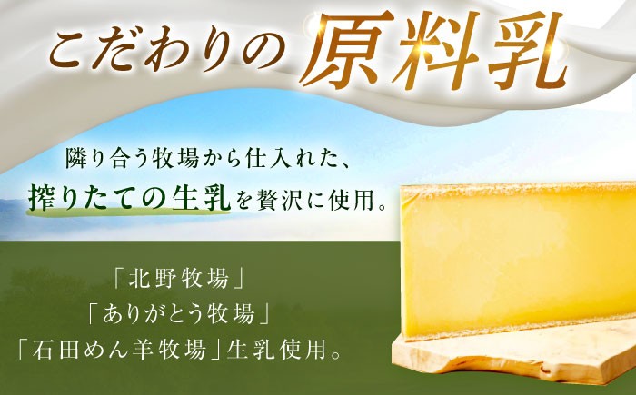 定期便 チーズ ナチュラルチーズ ラクレット 乳製品 おつまみ ギフト 北海道