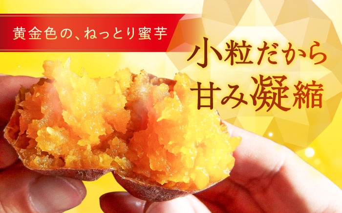  五島列島 さつまいも サツマイモ 薩摩芋 焼き芋 焼芋 食べ比べ おやつ 手軽 長崎県