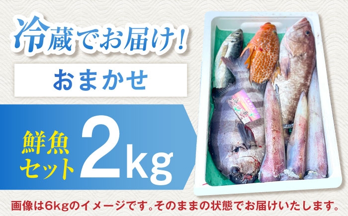 高級 鮮魚 セット 詰め合わせ 冷蔵 おまかせ お楽しみ 旬 刺身 九州 長崎