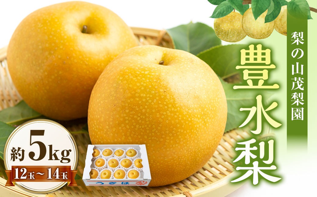 【先行予約】 梨の山茂梨園 豊水梨 12玉から14玉 （約5kg） 【2026年8月下旬～9月上旬より順次発送予定】