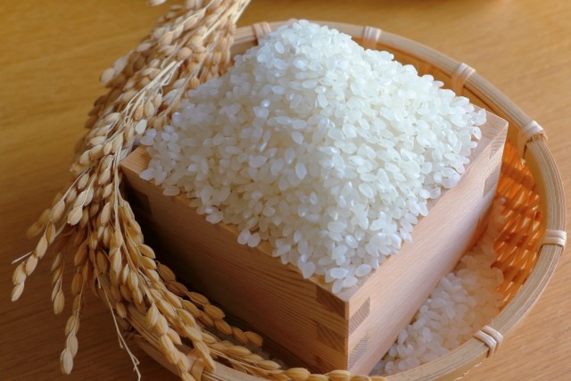 冷めてもおいしい、信州育ちの一等米品質コシヒカリ