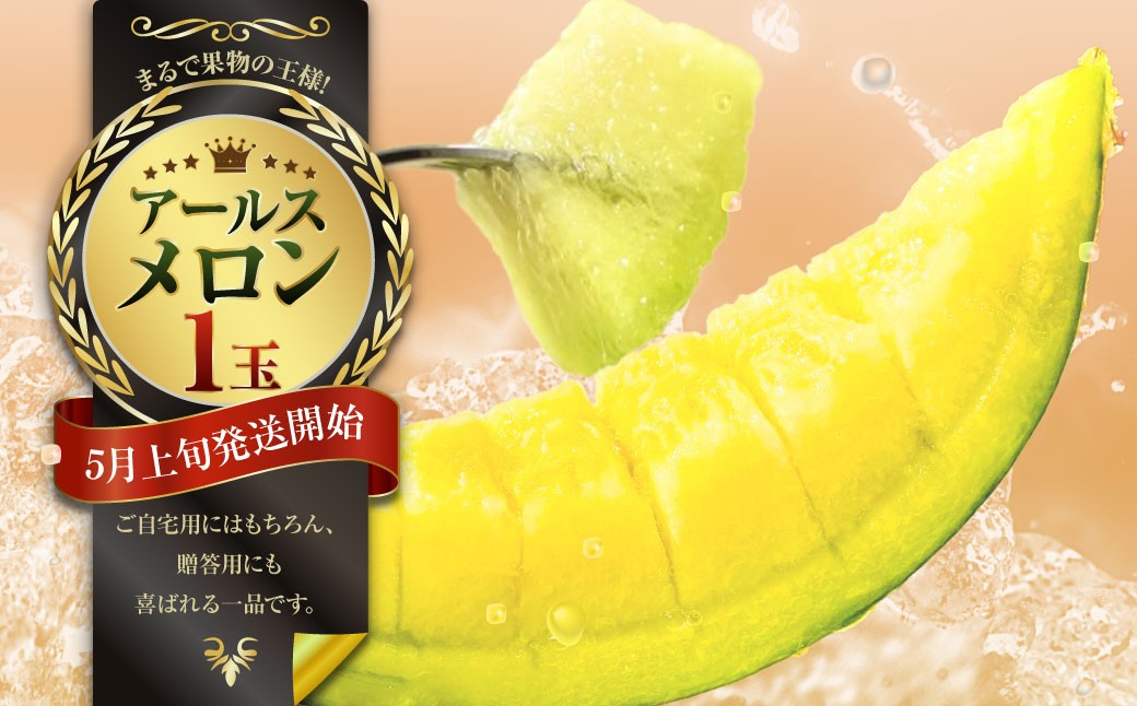 【2026年5月上旬発送開始】まるで果物の王様！アールスメロン1玉（熊本県産）