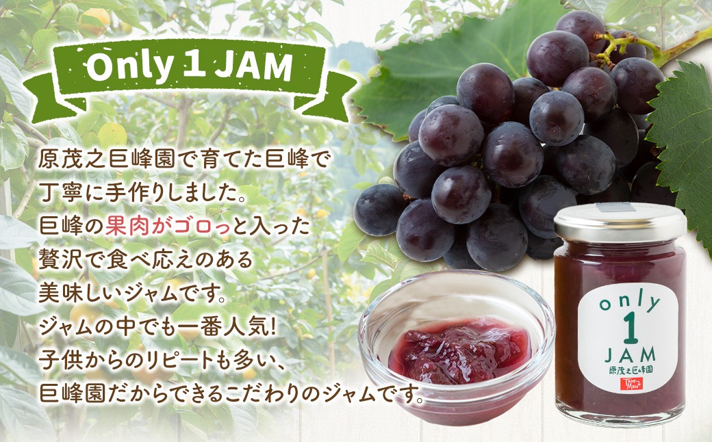 原茂之巨峰園 Only1JAM (まるごと巨峰) 150g×3本