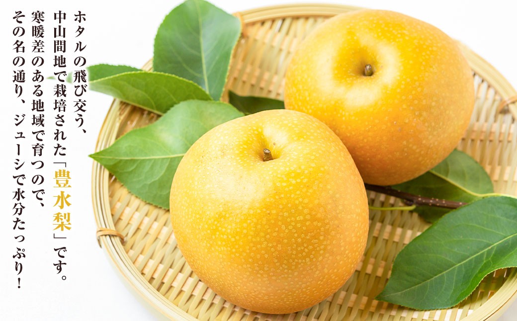 【先行予約】 梨の山茂梨園 豊水梨 12玉から14玉 （約5kg） 【2026年8月下旬～9月上旬より順次発送予定】