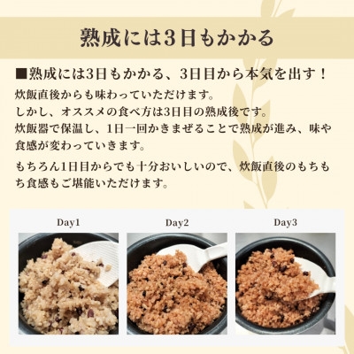 お家で簡単!＜ 熟成玄米ご飯(酵素玄米) ＞手作りセット