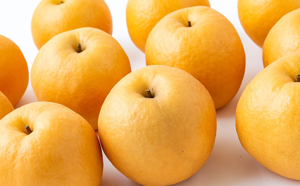 【先行予約】 梨の山茂梨園 新興梨 10玉から13玉 （約5kg） 