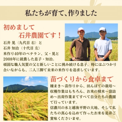 甘酒が大好きな米農家の「あまざけ」 500g×2本