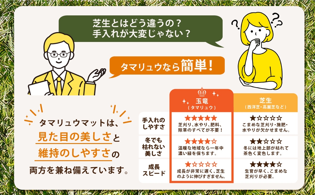 玉竜 タマリュウ たまりゅう 2枚