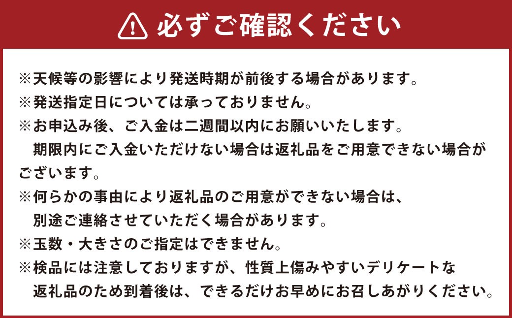 【先行予約】西見柿農園 富有柿 12玉から15玉