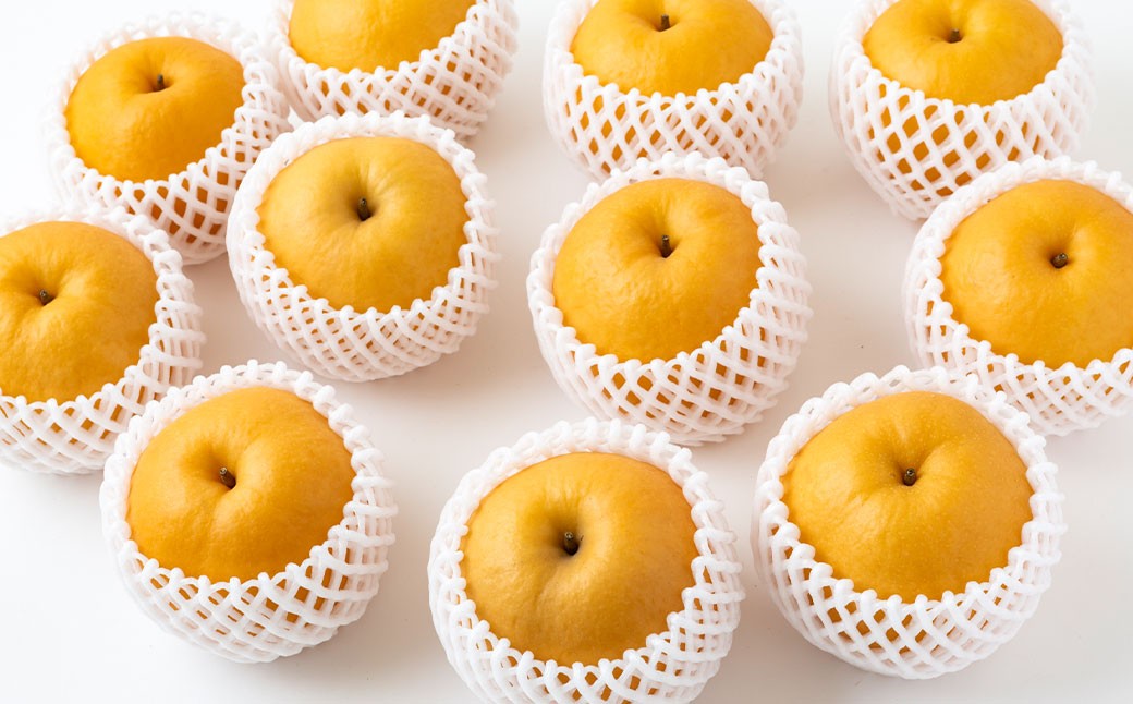 【先行予約】 梨の山茂梨園 新興梨 10玉から13玉 （約5kg） 