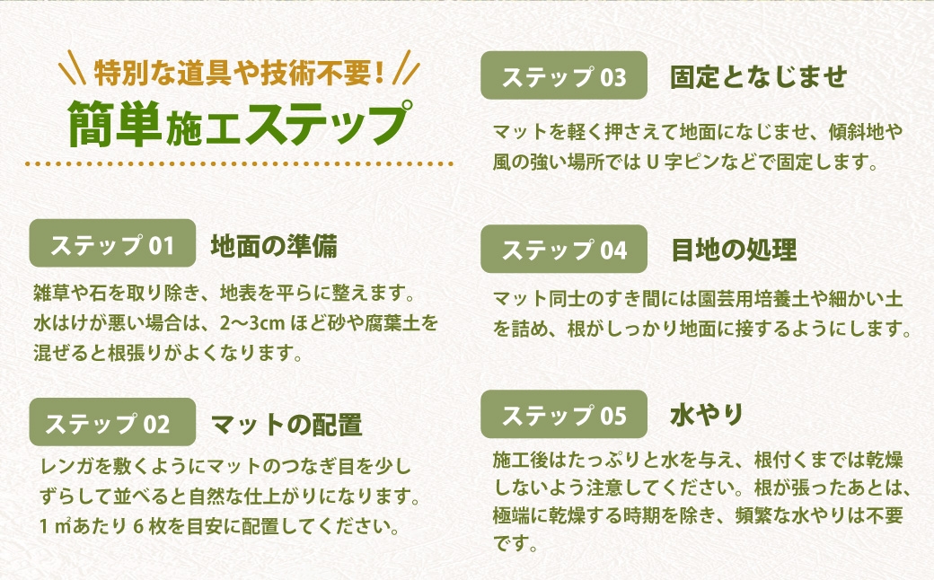 玉竜 タマリュウ たまりゅう 4枚