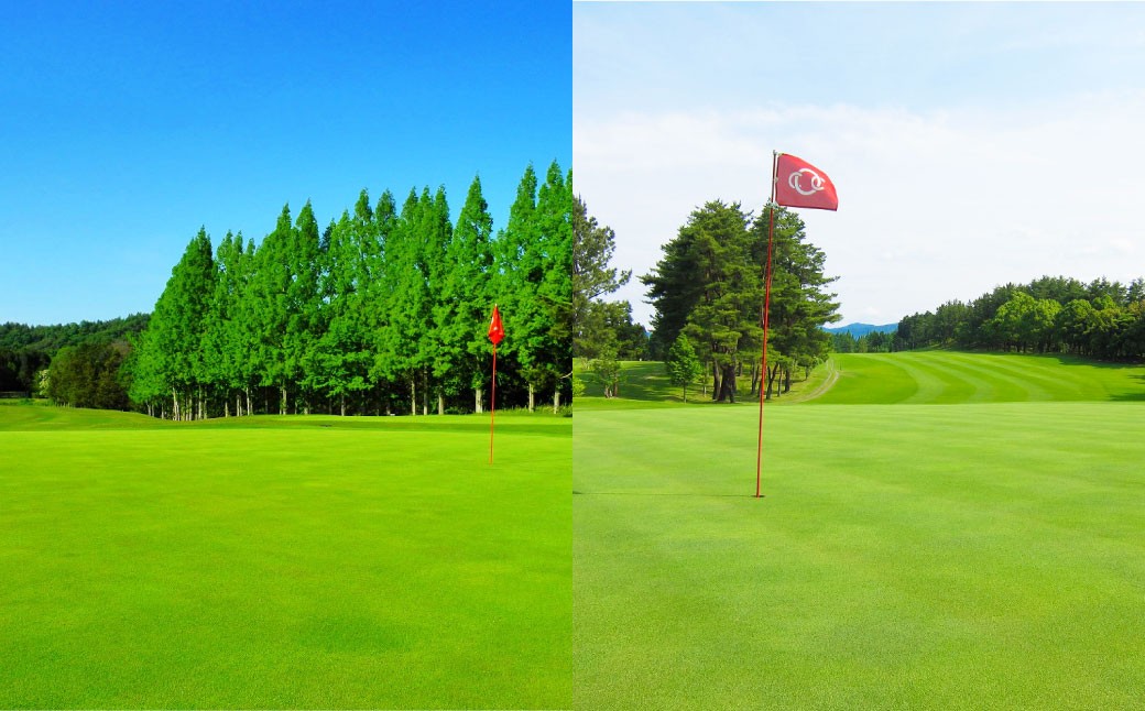 平日2名様 セルフプレー券