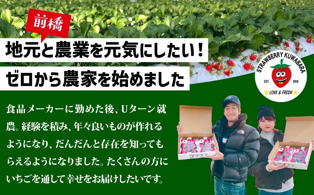 いちご やよいひめ (贈答用) 約800g 群馬県いちご品評会最高金賞受賞