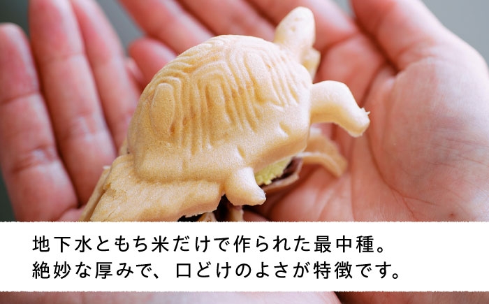 アイス アイスクリーム ジェラート 最中