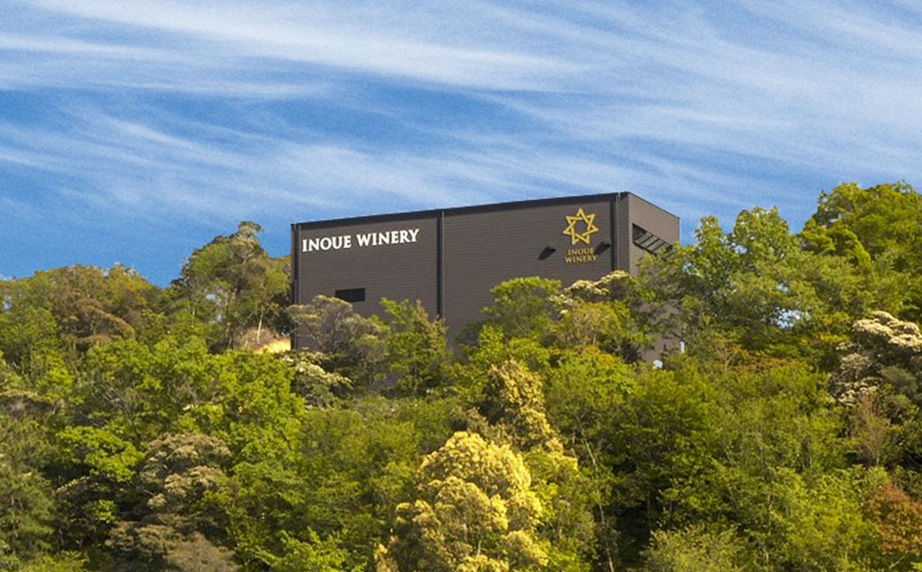 tosa cavatina 美良布マスカット・ベーリーAロゼ 2024（1本）