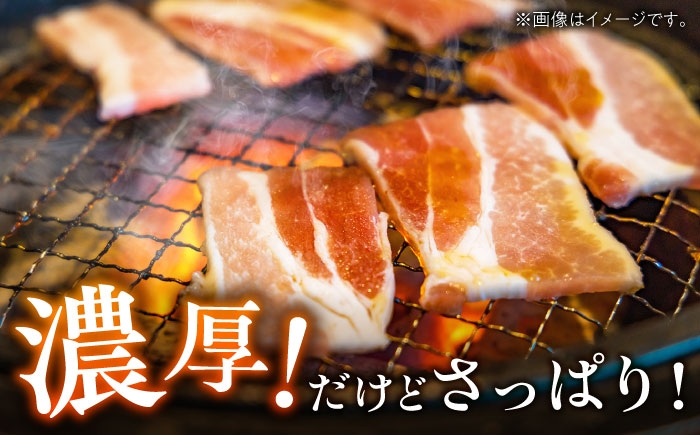 体も喜ぶ、無薬のこだわり豚。豚本来の旨みあふれるカタロース焼肉用 計880g