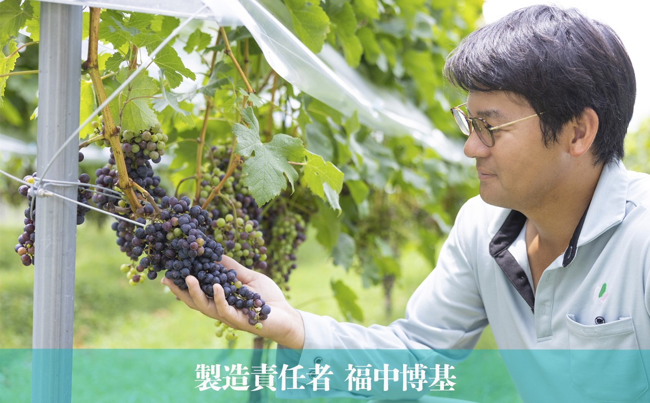 製造責任者の福中博基氏。畑でぶどうの出来を真剣な表情で確認している様子