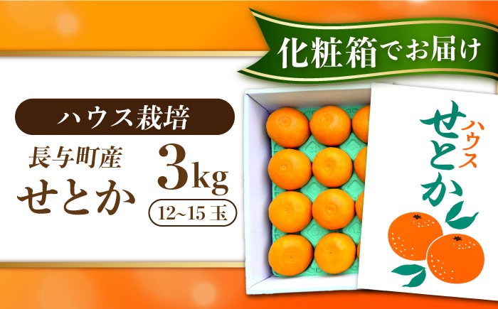 せとか セトカ ハウスせとか みかん 長崎県産みかん 長崎みかん 3kg
