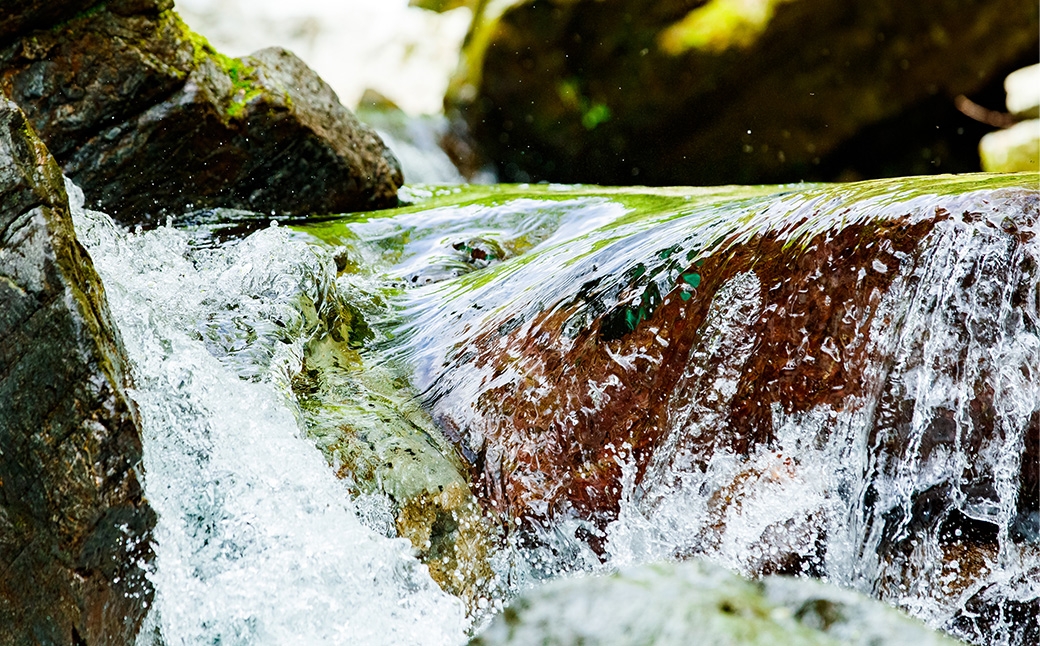 堤酒造　金の料理酒　300ml×3本