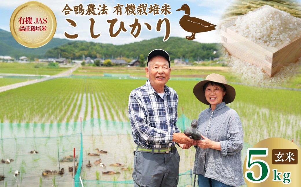 アイガモの力を借りてオーガニックで育てたおいしいおコシヒカリ