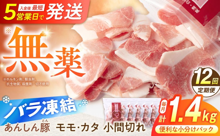 豚肉 定期便 12回定期便 小分け 薄切り 小間 こま切れ 豚こま 国産 無薬育ち 大容量 切り落とし 冷凍 モモ肉 カタ肉