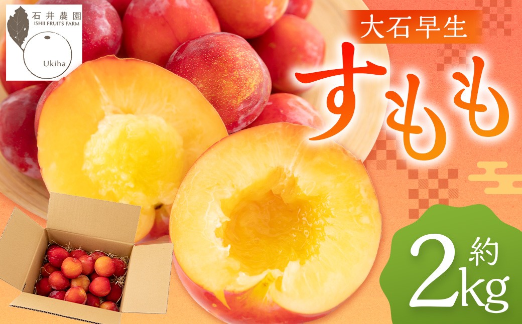【先行予約】 石井農園 すもも （約2kg） 【2025年6月下旬から7月上旬 出荷予定】