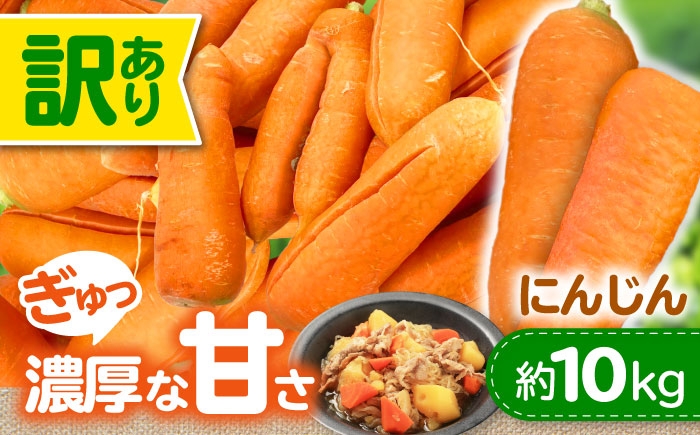 にんじん 人参 ニンジン 訳アリ 訳あり わけあり 野菜 ベジタブル 美味しい おいしい 甘い 栄養 根菜