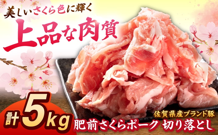 肥前さくらポーク 切り落とし 500g × 10パック 計 5kg | 豚肉 肥前さくらポーク 切り落とし 国産 小分け 大容量