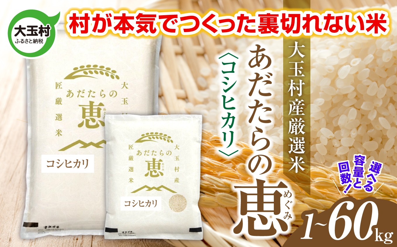 米 大玉村産厳選米「あだたらの恵」（品種：コシヒカリ） 《 令和7年産  》