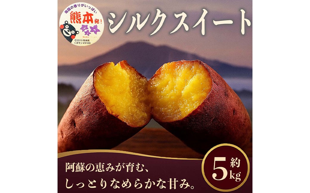 シルクスイート さつまいも 約5kg 