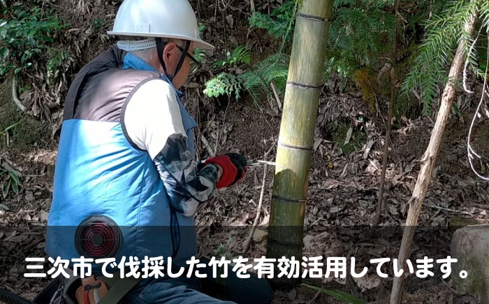 竹炭 ポーラス 畑 園芸 ガーデニング 農業 花壇 家庭菜園 土壌改良 鉢底石