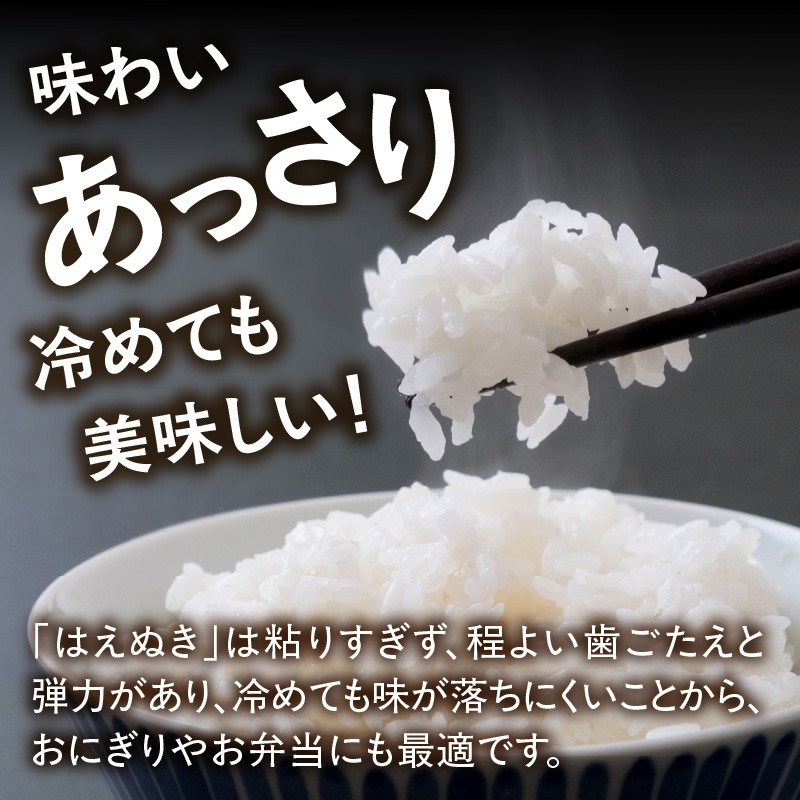 山形県産 はえぬき 10kg(5kg×2袋)【2025年度産米】