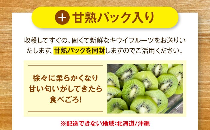 訳アリ 訳あり 家庭用 キウイ キウイフルーツ グリーンキウイ キュウイ ふるさと納税 ヘイワード 果物 ギフト フルーツ