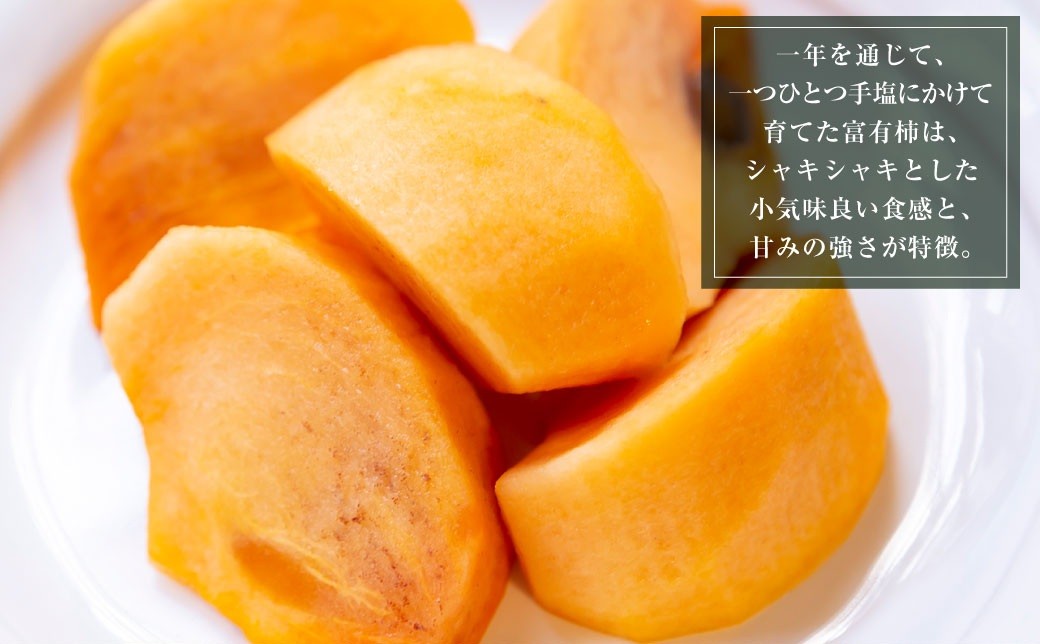 石井農園 冷蔵富有柿 15玉から20玉 2025年12月中旬から2026年3月31日