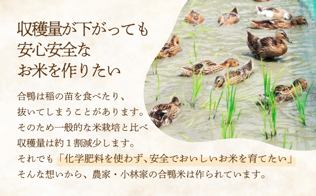 アイガモの力を借りてオーガニックで育てたおいしいおコシヒカリ